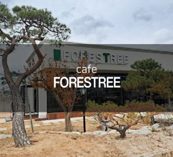 FORESTREE
